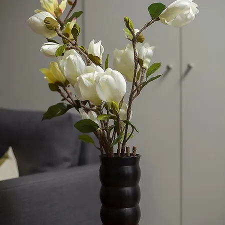 Appartement Ivens Funchal (Madeira)