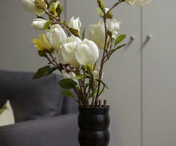 Apartamento Ivens Funchal (Madeira)